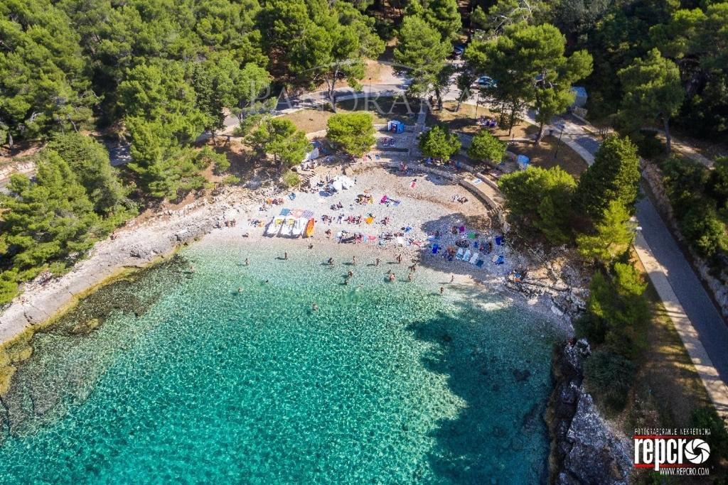 Studio Oliva - Free Parking Πούλα Εξωτερικό φωτογραφία